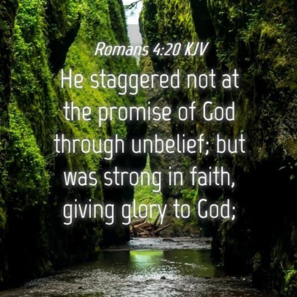 Hello! - Picture 12 of 16